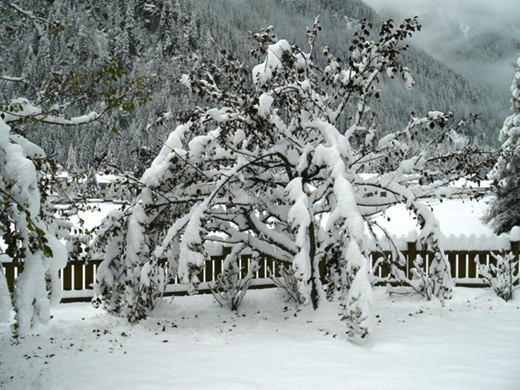 Appartement Haus Cornelia à Mallnitz Extérieur photo